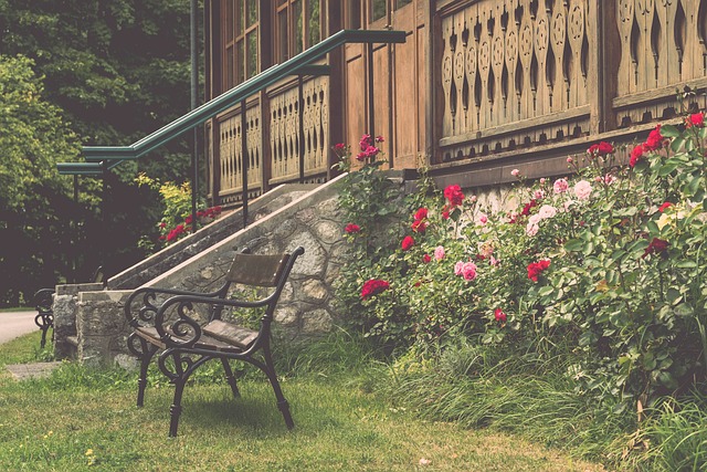 是否背离了 是否背离了