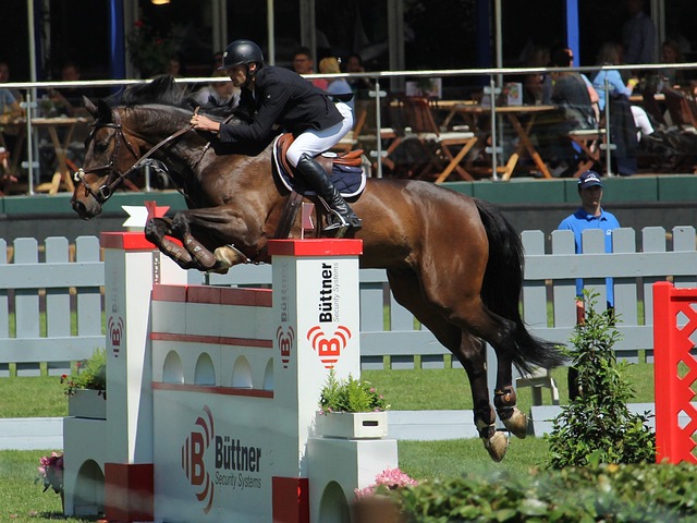 后场的防守 后场的防守