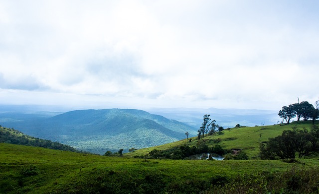 一个宝贵的 一个宝贵的