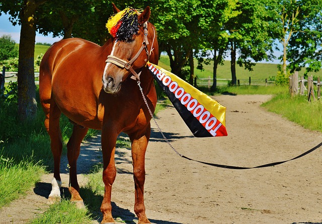 爱德华兹的 爱德华兹的