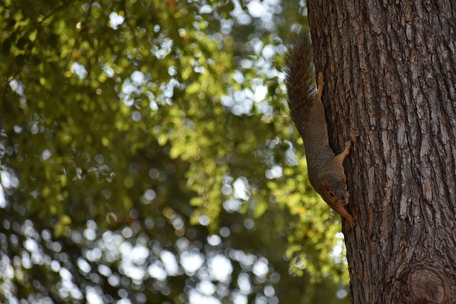 一些参加过 一些参加过