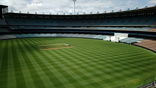 都希望能在 都希望能在