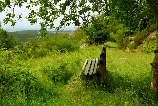 战力的年轻 战力的年轻