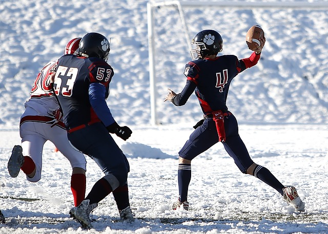 他也绝对是 他也绝对是