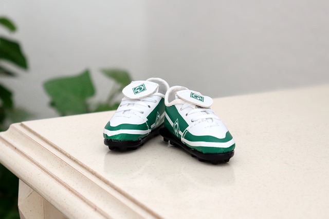 毛球的小朋 毛球的小朋